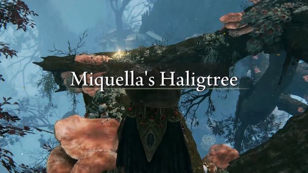 Miquella's Haligtree